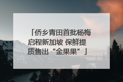 侨乡青田首批杨梅启程新加坡 保鲜提质售出“金果果”