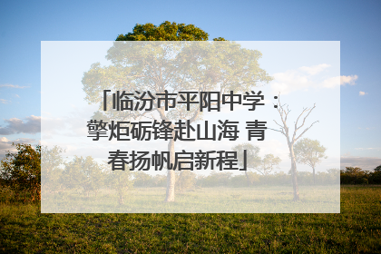 临汾市平阳中学：擎炬砺锋赴山海 青春扬帆启新程