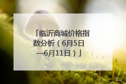 临沂商城价格指数分析（6月5日—6月11日）
