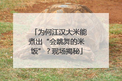 为何江汉大米能煮出“会跳舞的米饭”？现场揭秘