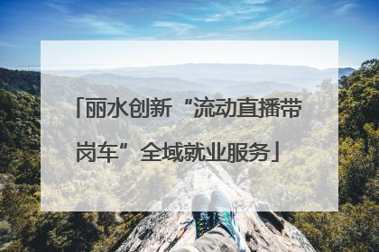 丽水创新“流动直播带岗车”全域就业服务