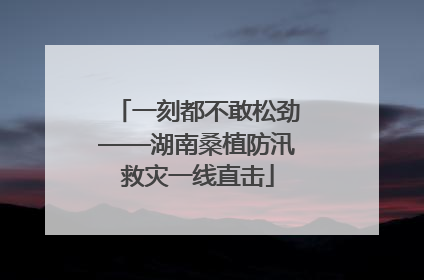 一刻都不敢松劲——湖南桑植防汛救灾一线直击