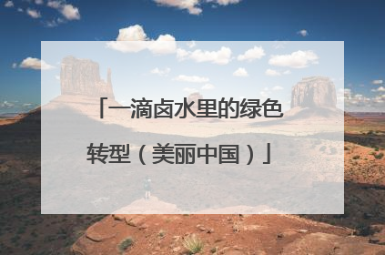 一滴卤水里的绿色转型（美丽中国）