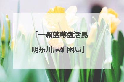 一颗蓝莓盘活昆明东川尾矿困局