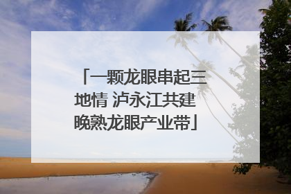 一颗龙眼串起三地情 泸永江共建晚熟龙眼产业带