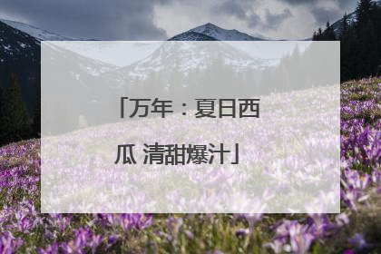 万年：夏日西瓜 清甜爆汁