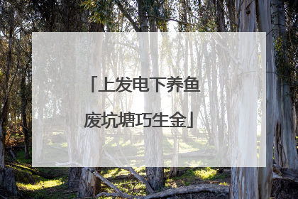 上发电下养鱼 废坑塘巧生金