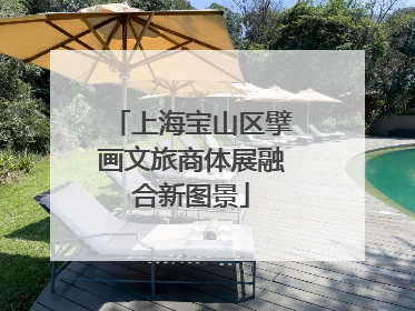 上海宝山区擘画文旅商体展融合新图景