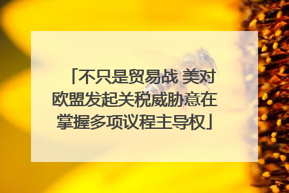 不只是贸易战 美对欧盟发起关税威胁意在掌握多项议程主导权