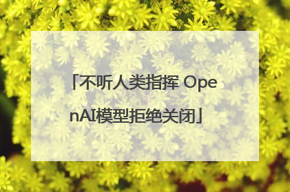 不听人类指挥 OpenAI模型拒绝关闭
