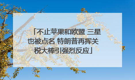 不止苹果和欧盟 三星也被点名 特朗普再挥关税大棒引强烈反应