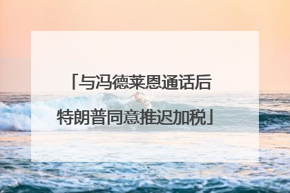 与冯德莱恩通话后 特朗普同意推迟加税