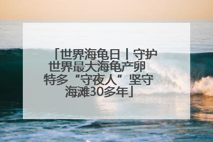 世界海龟日丨守护世界最大海龟产卵 特多“守夜人”坚守海滩30多年