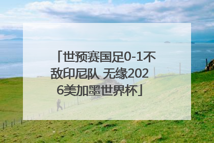 世预赛国足0-1不敌印尼队 无缘2026美加墨世界杯
