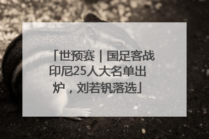 世预赛｜国足客战印尼25人大名单出炉，刘若钒落选
