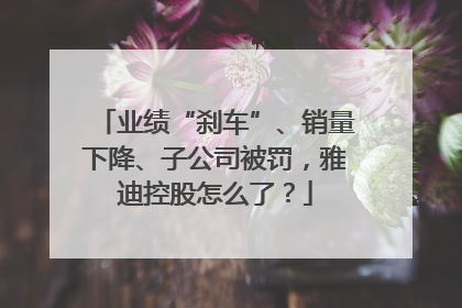 业绩“刹车”、销量下降、子公司被罚，雅迪控股怎么了？
