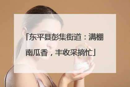 东平县彭集街道：满棚南瓜香，丰收采摘忙