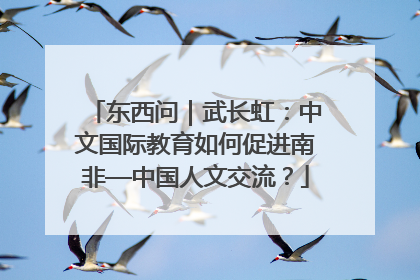 东西问｜武长虹：中文国际教育如何促进南非—中国人文交流？