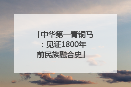 中华第一青铜马：见证1800年前民族融合史