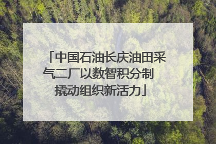 中国石油长庆油田采气二厂以数智积分制 撬动组织新活力
