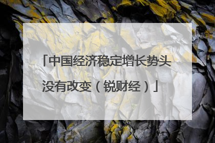 中国经济稳定增长势头没有改变（锐财经）