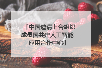 中国邀请上合组织成员国共建人工智能应用合作中心