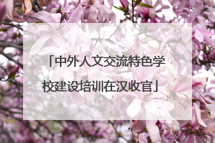 中外人文交流特色学校建设培训在汉收官