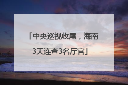 中央巡视收尾，海南3天连查3名厅官