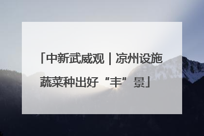 中新武威观｜凉州设施蔬菜种出好“丰”景