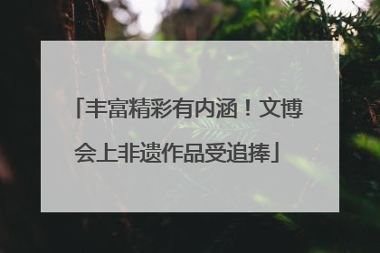 丰富精彩有内涵！文博会上非遗作品受追捧