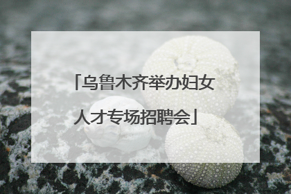 乌鲁木齐举办妇女人才专场招聘会
