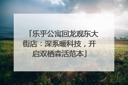 乐乎公寓回龙观东大街店：深系暖科技，开启双栖森活范本