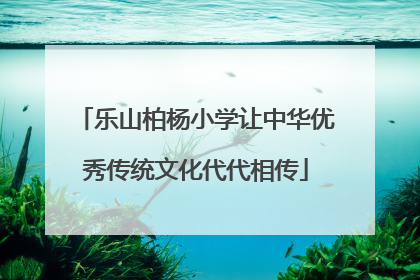 乐山柏杨小学让中华优秀传统文化代代相传