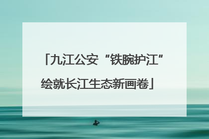 九江公安“铁腕护江”绘就长江生态新画卷