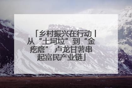 乡村振兴在行动丨从“土坷垃”到“金疙瘩” 卢龙甘薯串起富民产业链