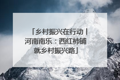 乡村振兴在行动丨河南南乐：西红柿铺就乡村振兴路