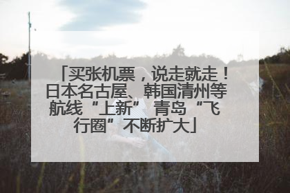 买张机票，说走就走！日本名古屋、韩国清州等航线“上新” 青岛“飞行圈”不断扩大