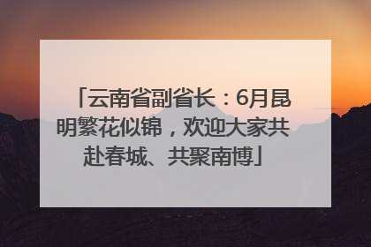云南省副省长：6月昆明繁花似锦，欢迎大家共赴春城、共聚南博