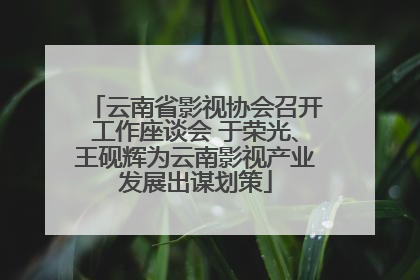 云南省影视协会召开工作座谈会 于荣光、王砚辉为云南影视产业发展出谋划策