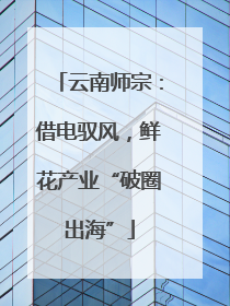 云南师宗：借电驭风，鲜花产业“破圈出海”