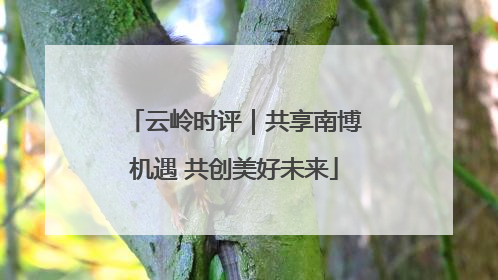 云岭时评｜共享南博机遇 共创美好未来