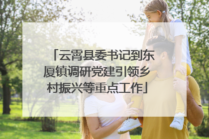 云霄县委书记到东厦镇调研党建引领乡村振兴等重点工作