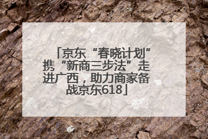 京东“春晓计划”携“新商三步法”走进广西，助力商家备战京东618