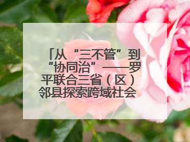 从“三不管”到“协同治”——罗平联合三省（区）邻县探索跨域社会治理新模式