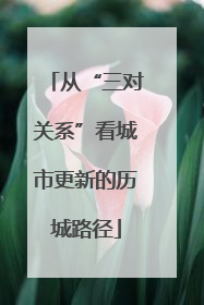 从“三对关系”看城市更新的历城路径