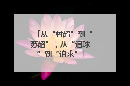 从“村超”到“苏超”，从“追球”到“追求”