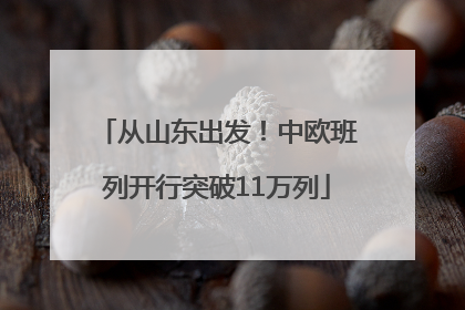 从山东出发！中欧班列开行突破11万列