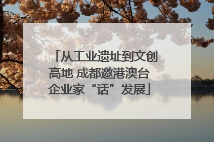 从工业遗址到文创高地 成都邀港澳台企业家“话”发展