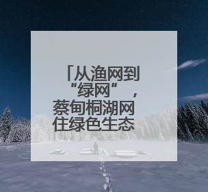 从渔网到“绿网”，蔡甸桐湖网住绿色生态经济