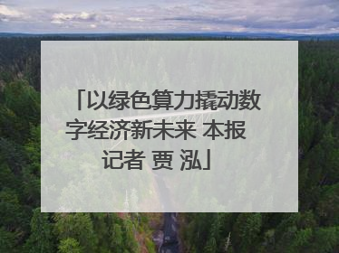 以绿色算力撬动数字经济新未来 本报记者 贾 泓